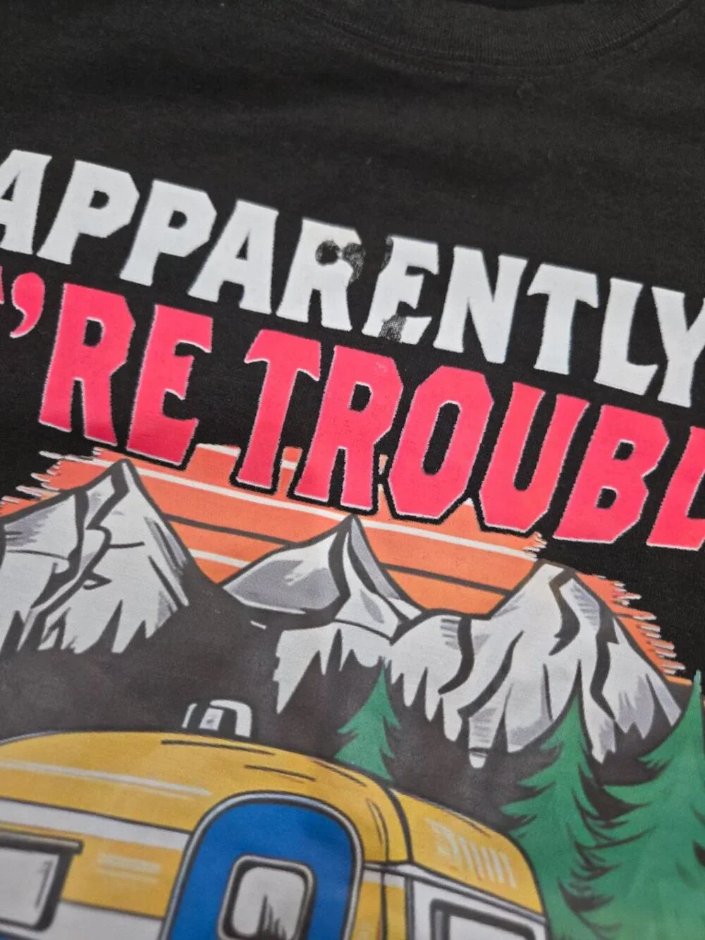 🏕️ Apparently We're Trouble When We Camp Together Graphic Tee 2X